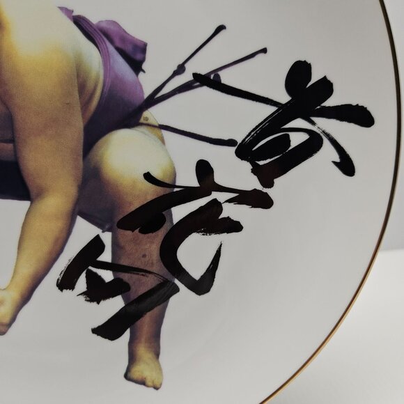 Takanohana Koji 65th Yokozuna Sumo Wrestler Decorative 10 Inch Souvenir Plate - Picture 3 of 5